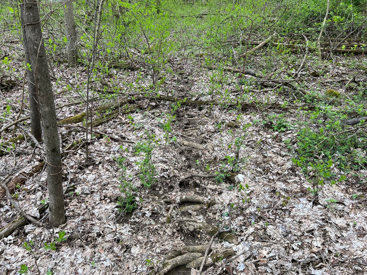 Listing Image 18