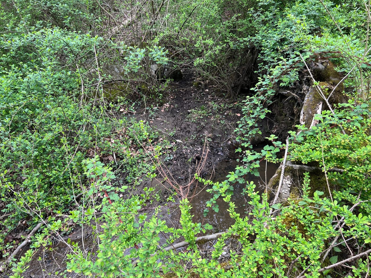 Listing Image 23