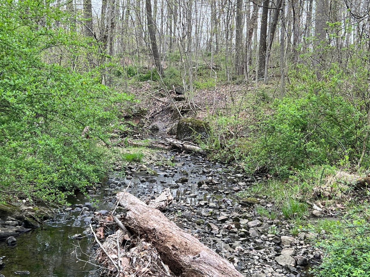 Listing Image 35