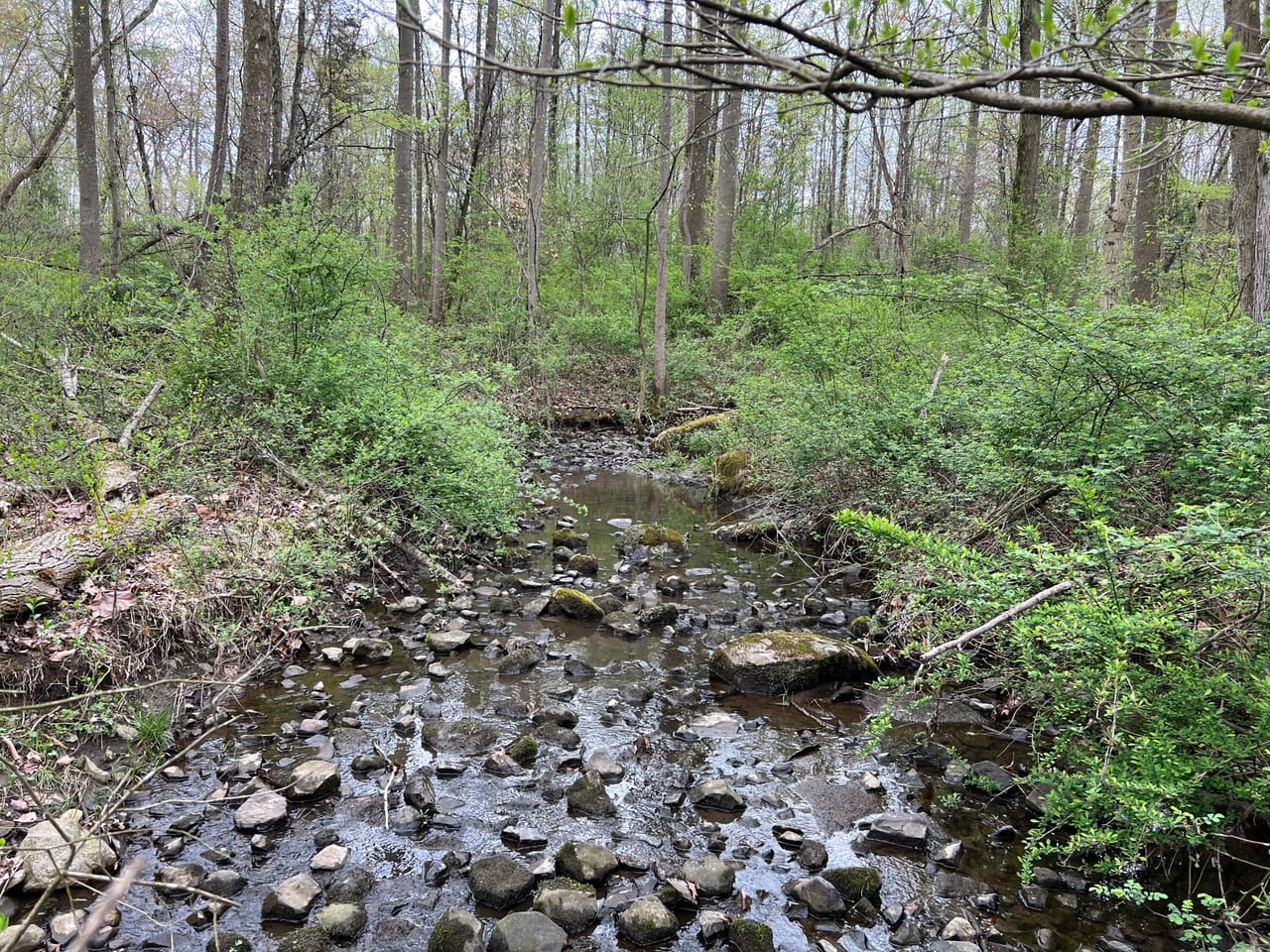 Listing Image 57