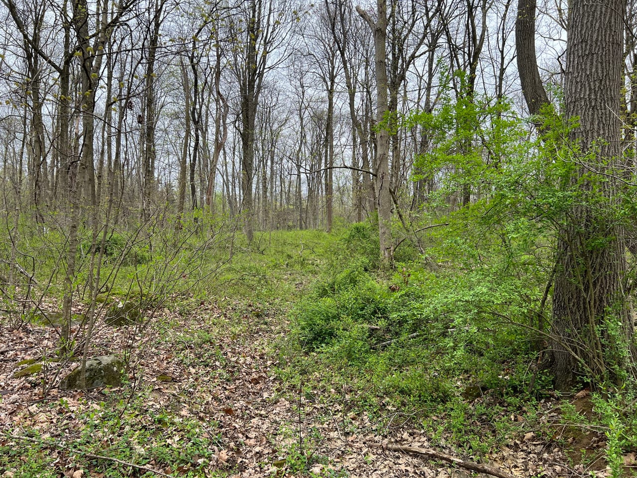 Listing Image 61