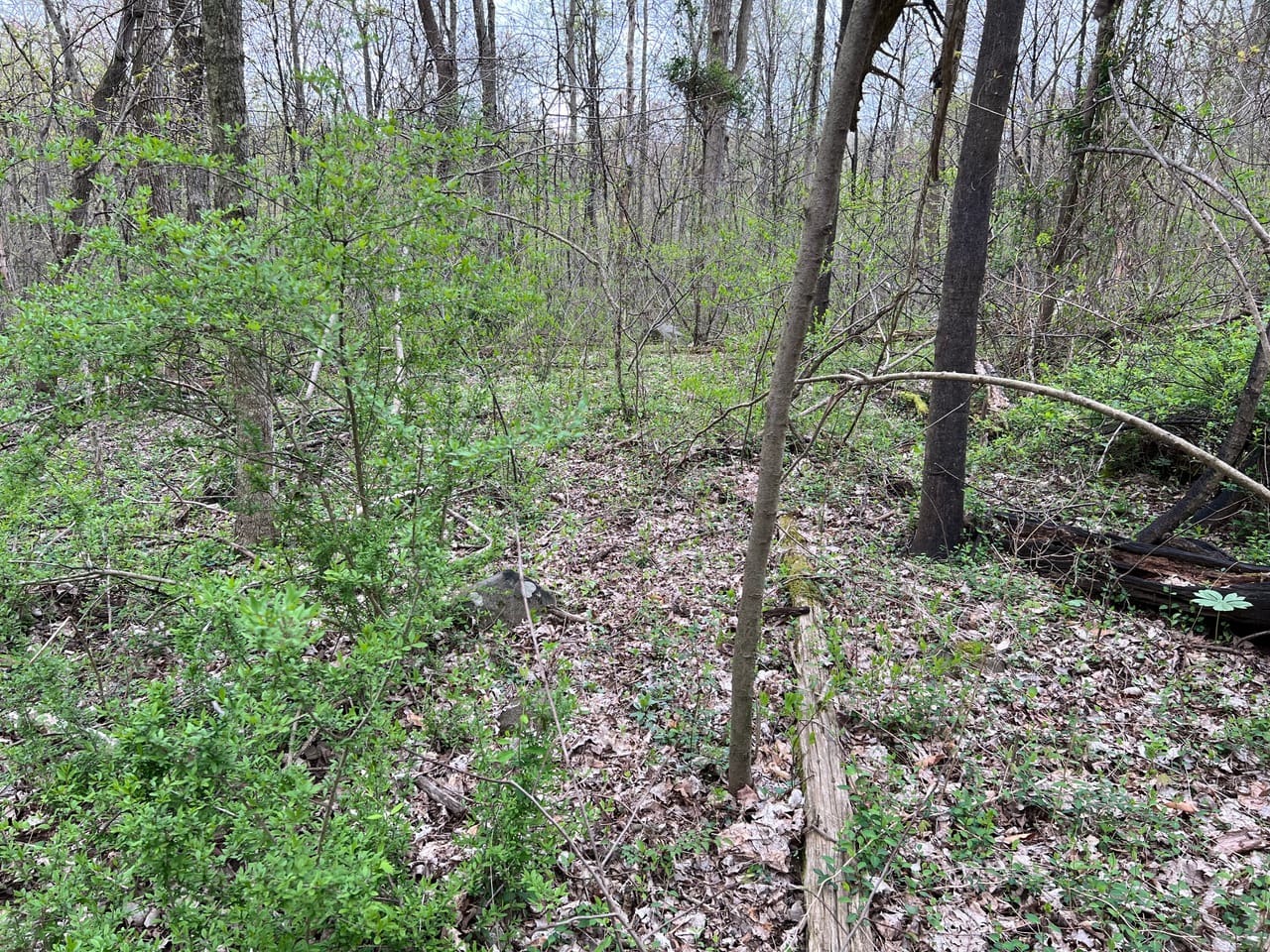 Listing Image 63