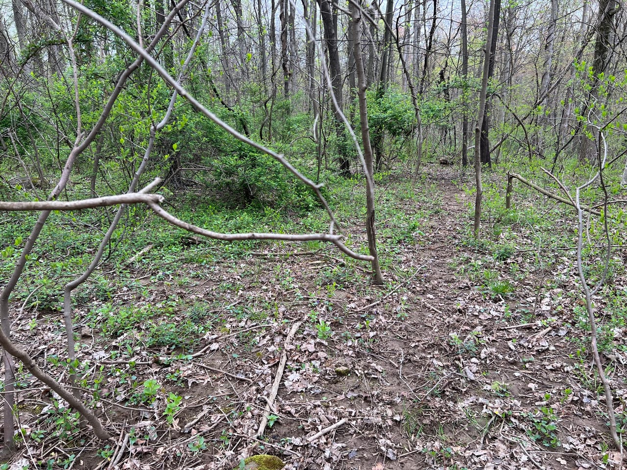 Listing Image 64