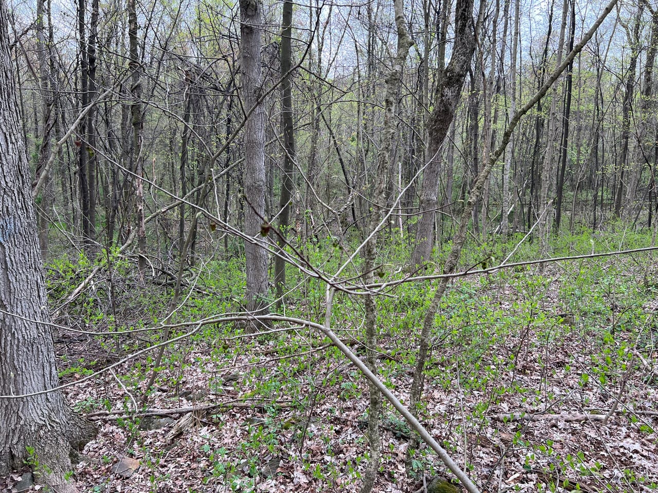 Listing Image 65