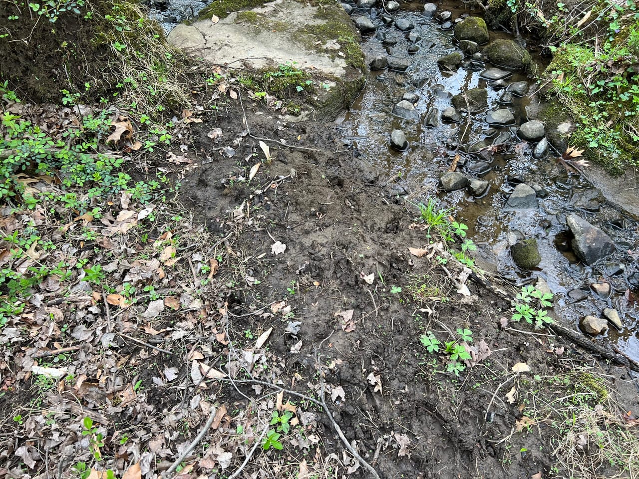 Listing Image 74