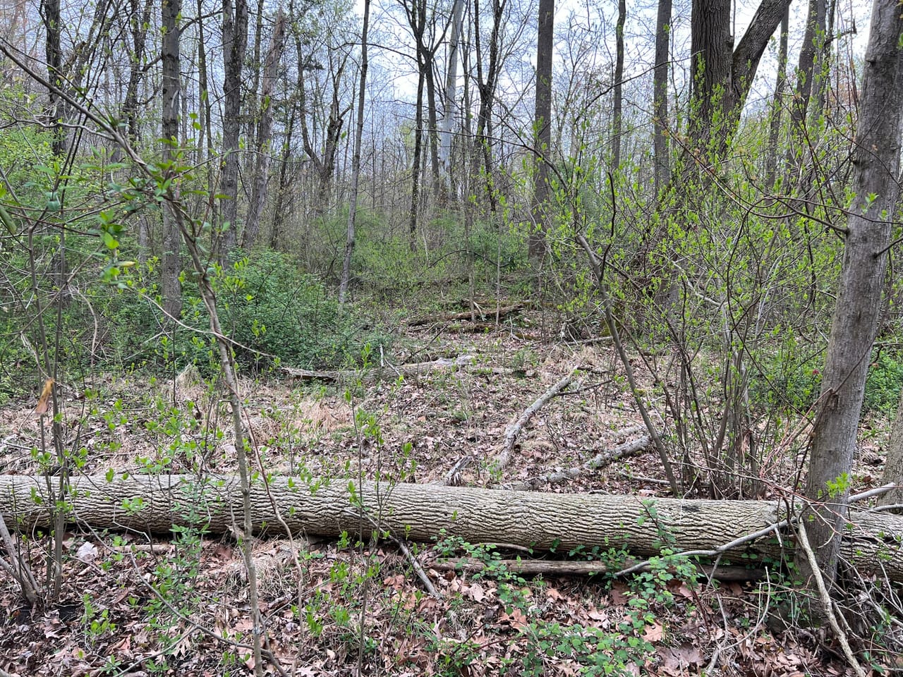 Listing Image 8