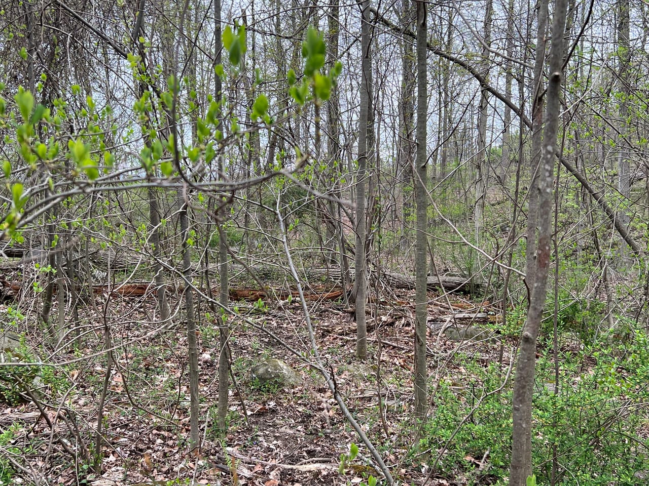 Listing Image 12