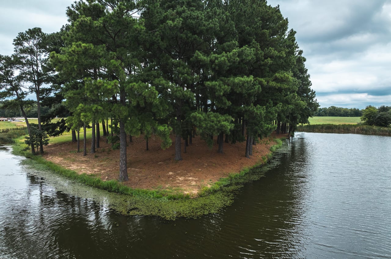 Listing Image 75