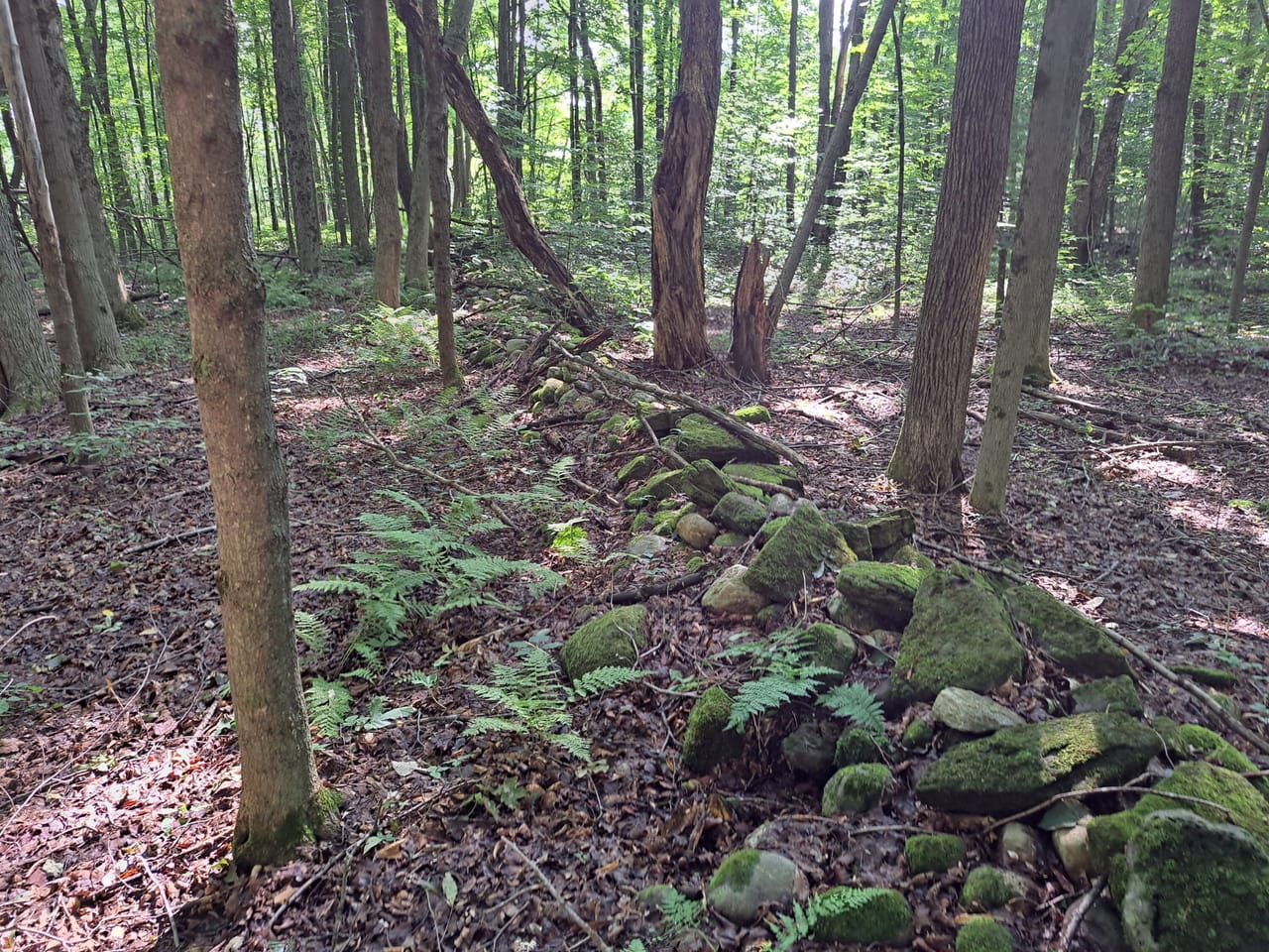 Listing Image 47
