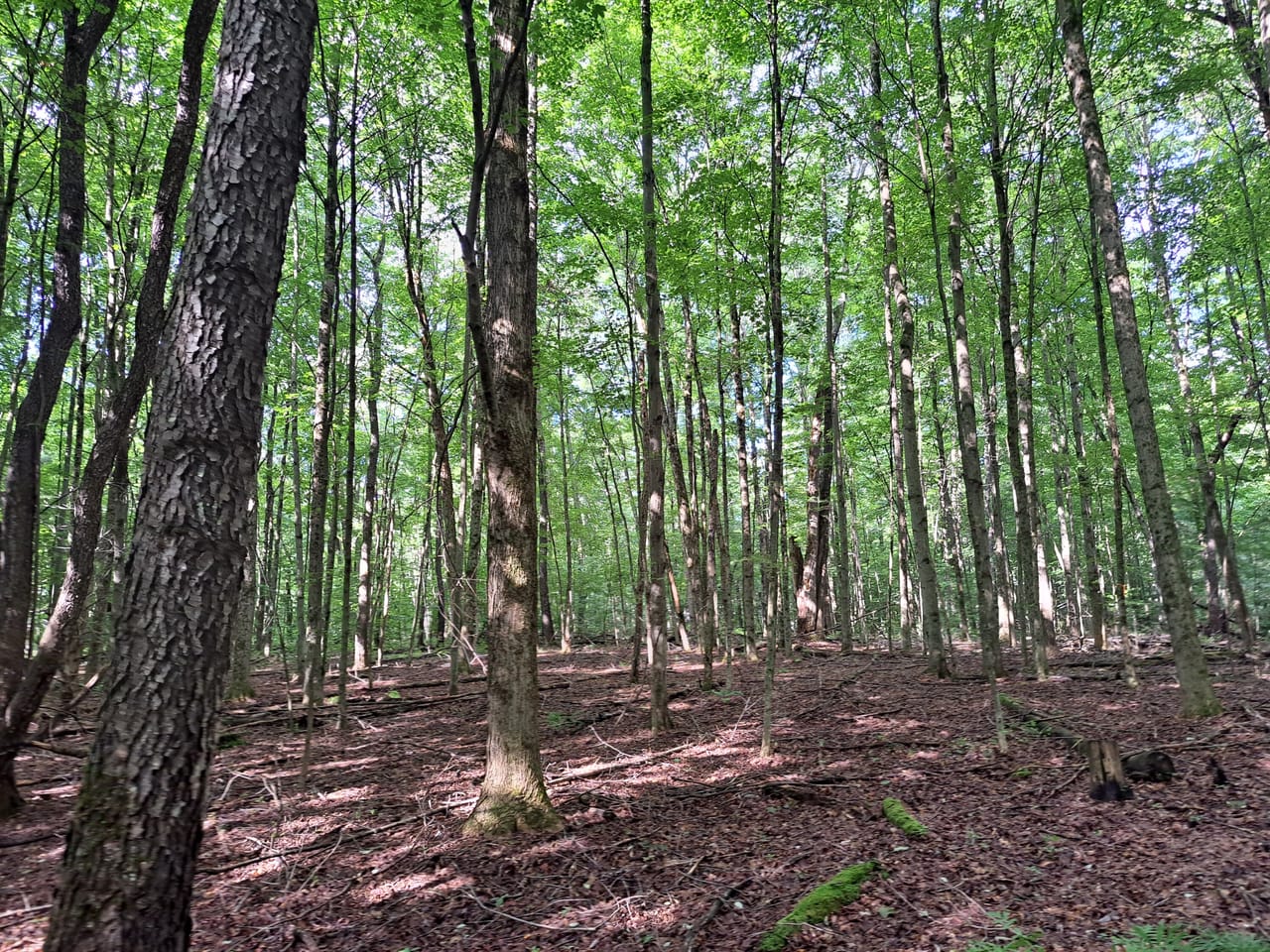 Listing Image 70