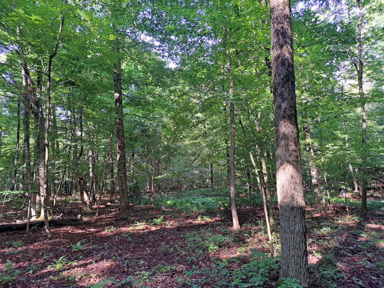 Listing Image 71