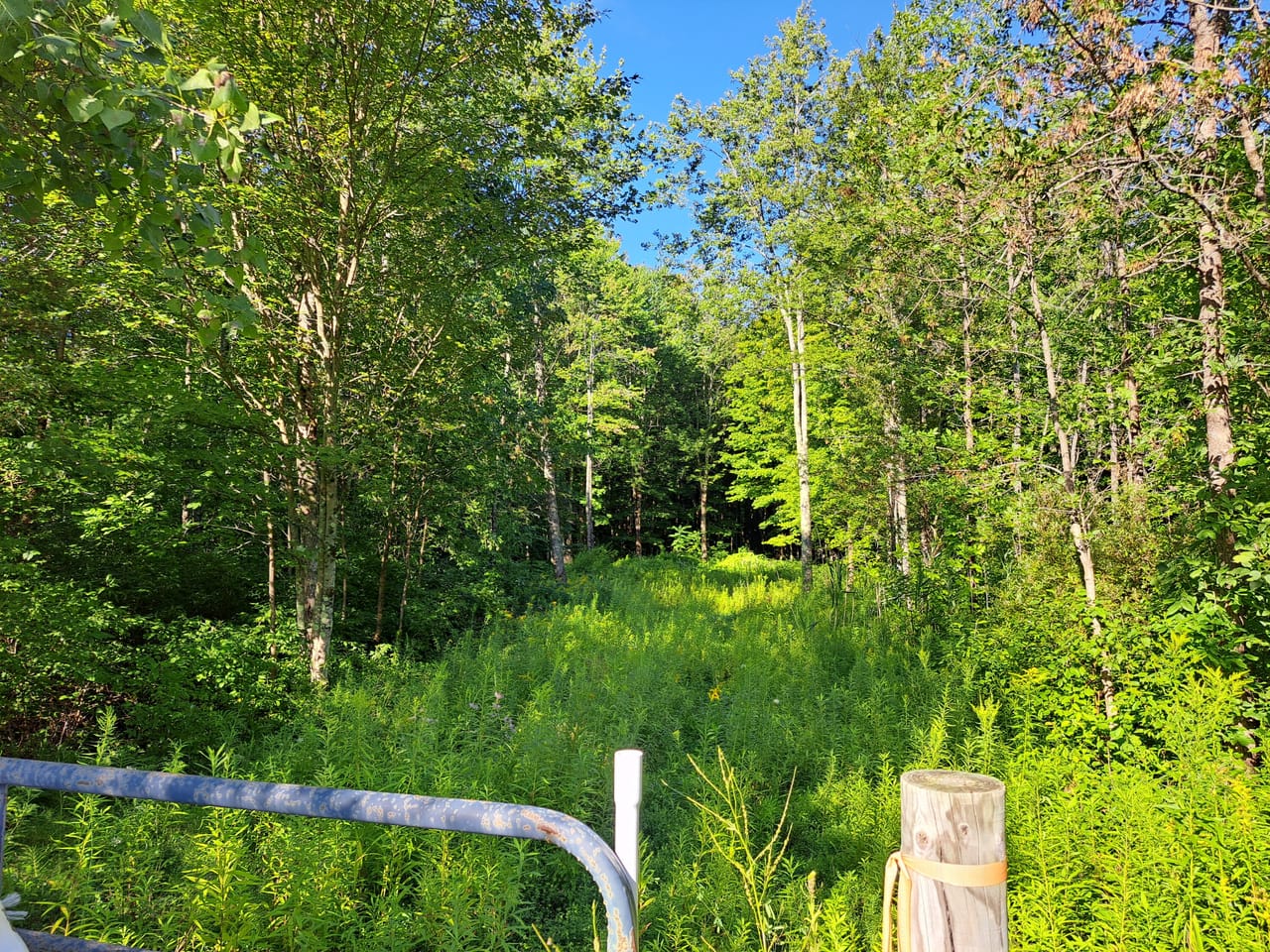 Listing Image 33