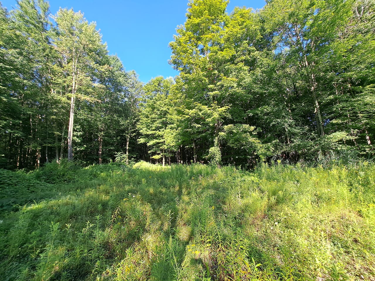 Listing Image 34