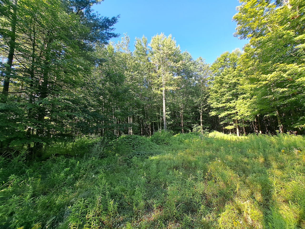 Listing Image 36