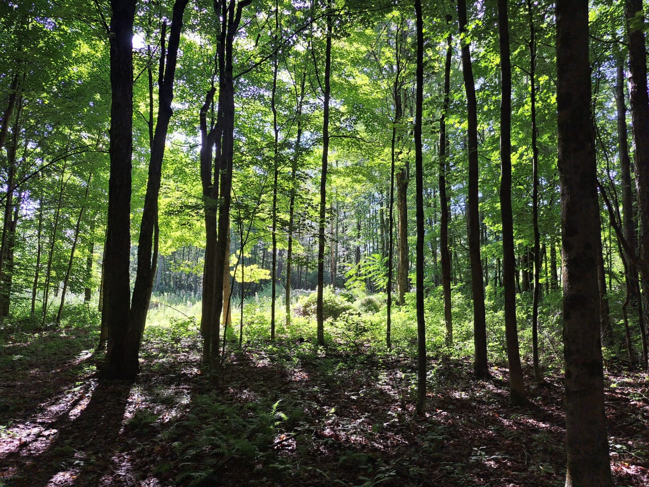 Listing Image 41