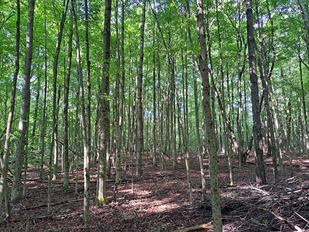 Listing Image 17