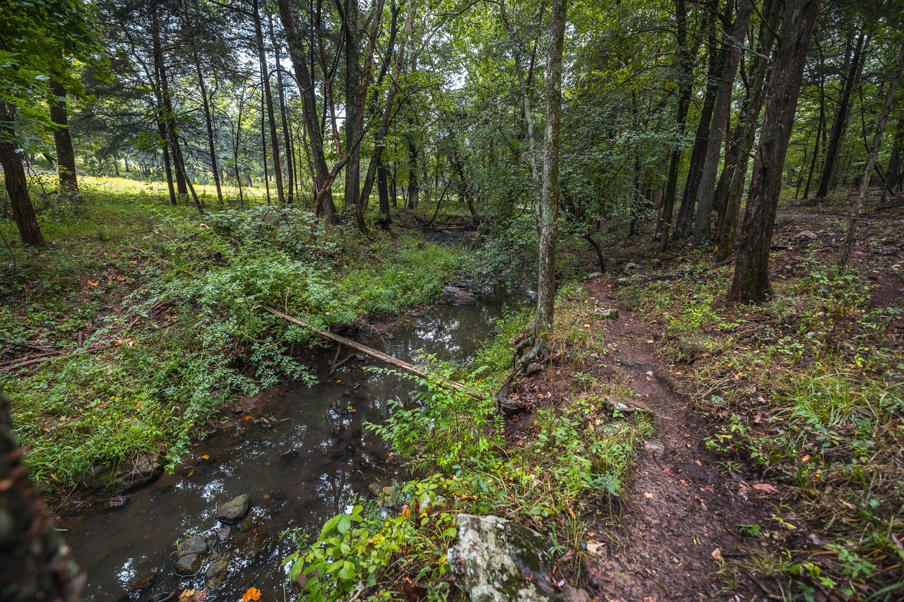 Listing Image 64