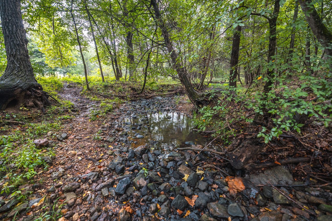 Listing Image 71
