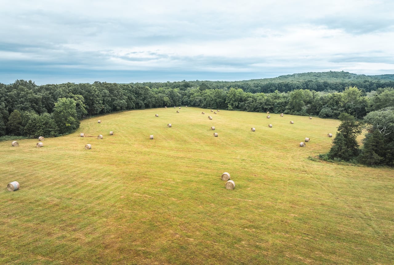 Listing Image 75