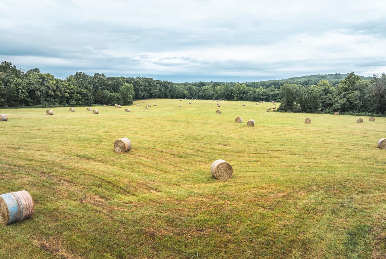 Listing Image 48