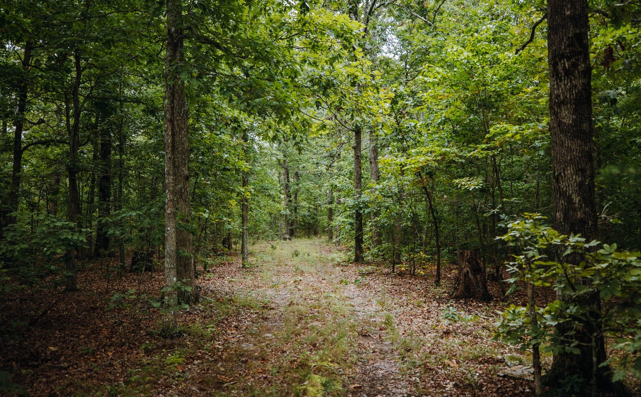 Listing Image 43