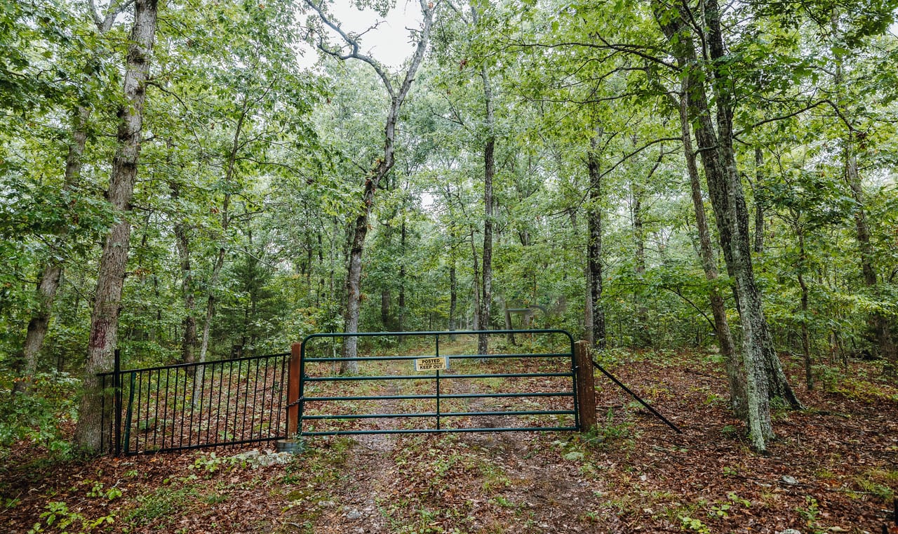 Listing Image 14