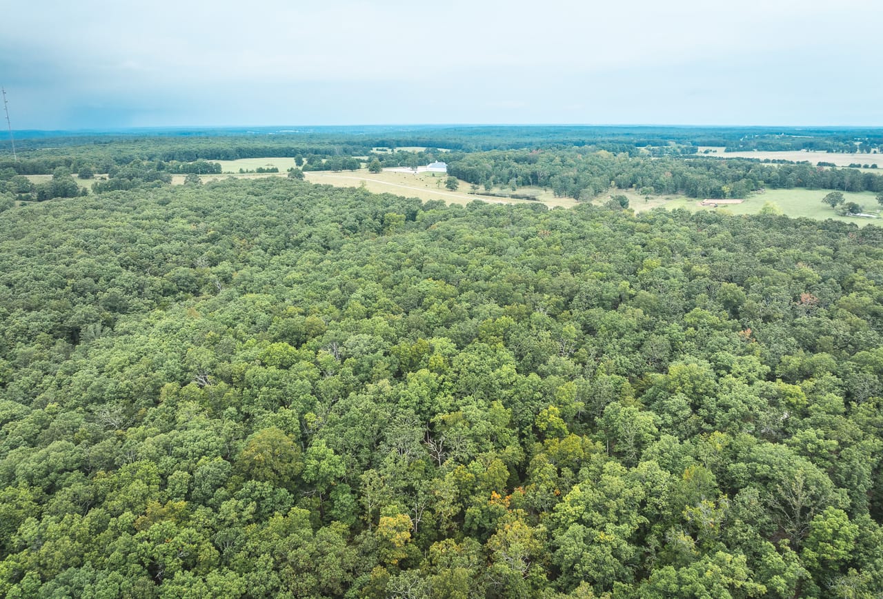 Listing Image 21