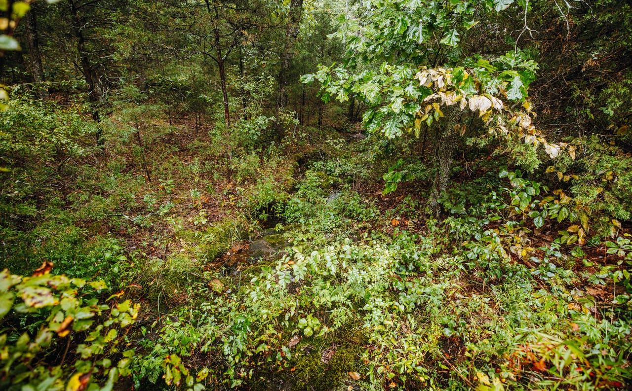 Listing Image 38