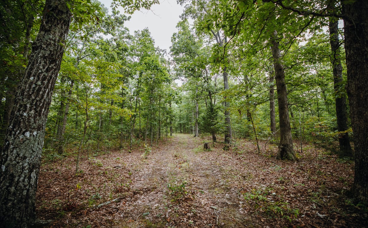 Listing Image 66
