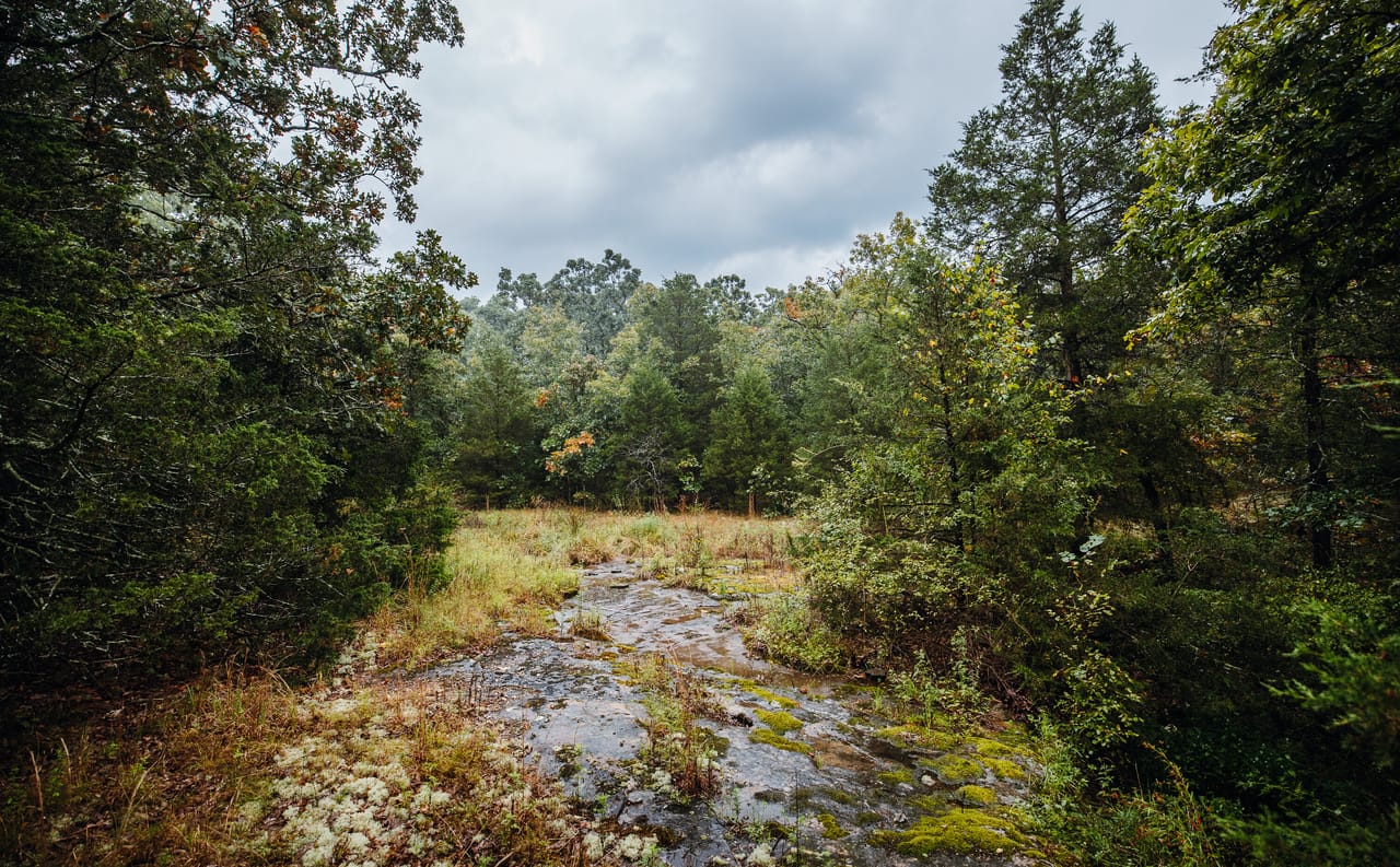 Listing Image 18