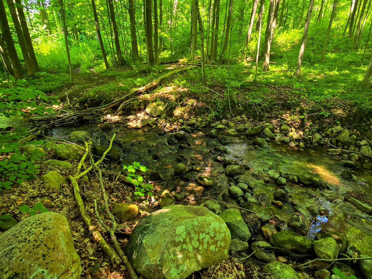 170 Gore Rd - Bennington
