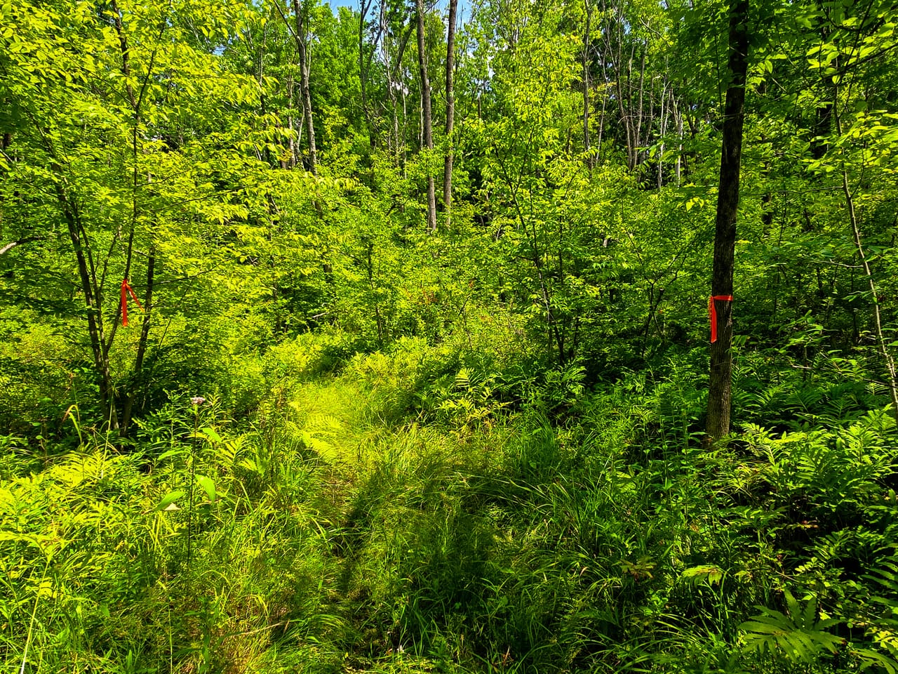 170 Gore Rd - Bennington