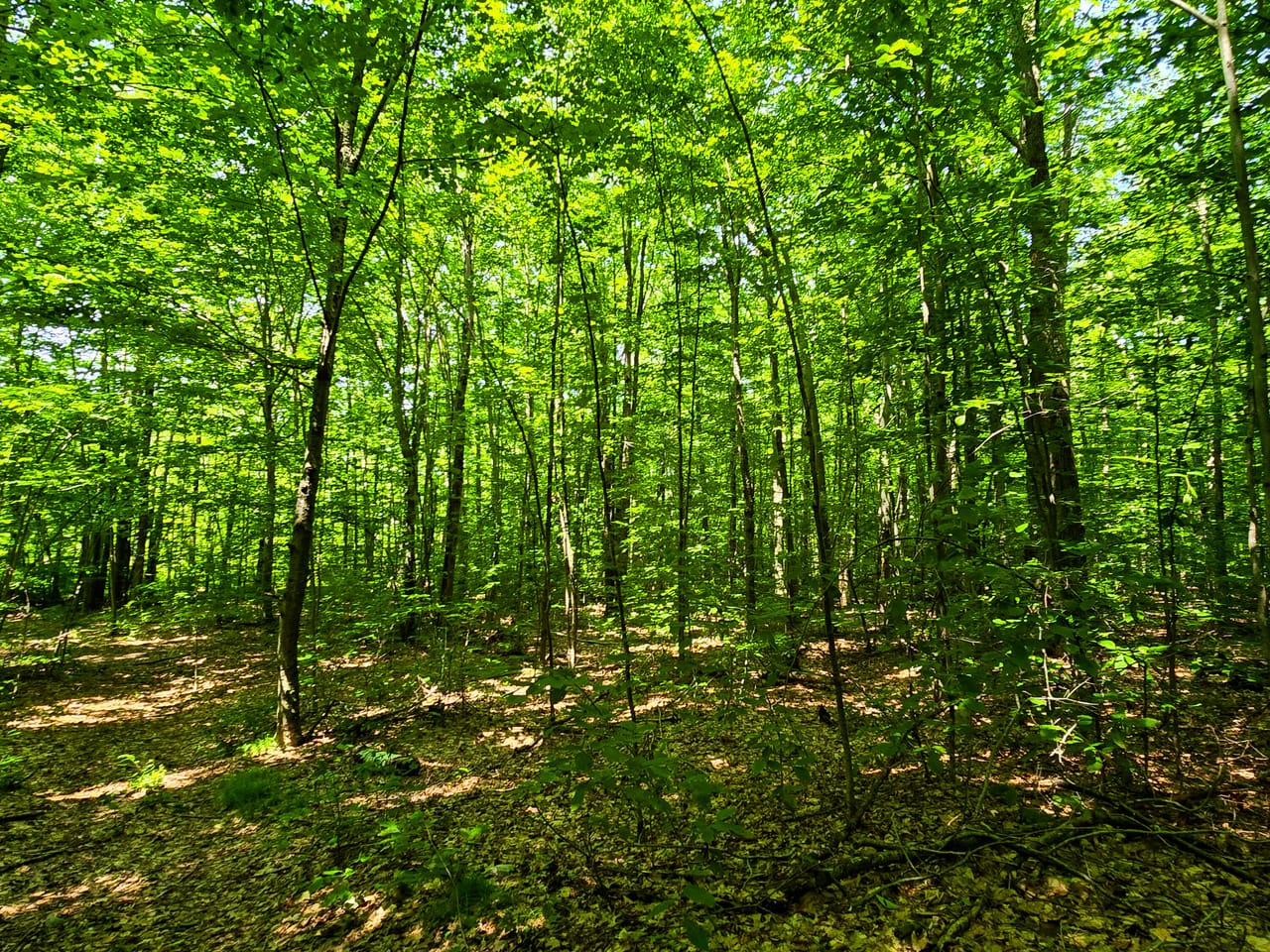 170 Gore Rd - Bennington