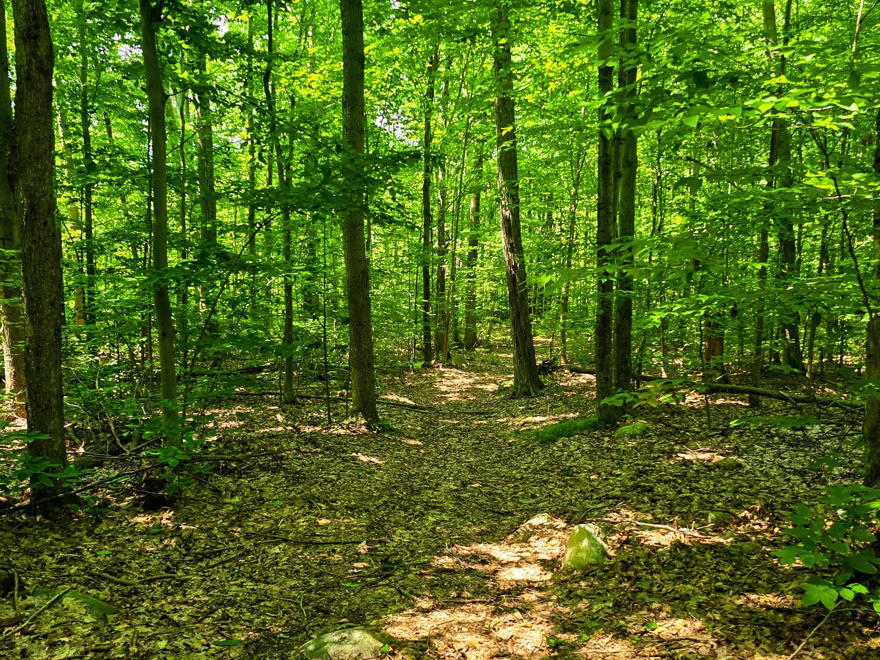 170 Gore Rd - Bennington