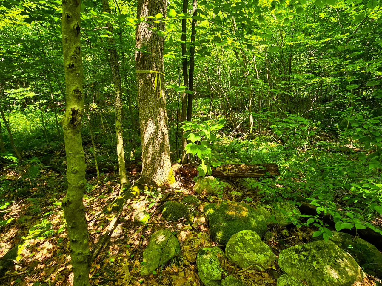 170 Gore Rd - Bennington