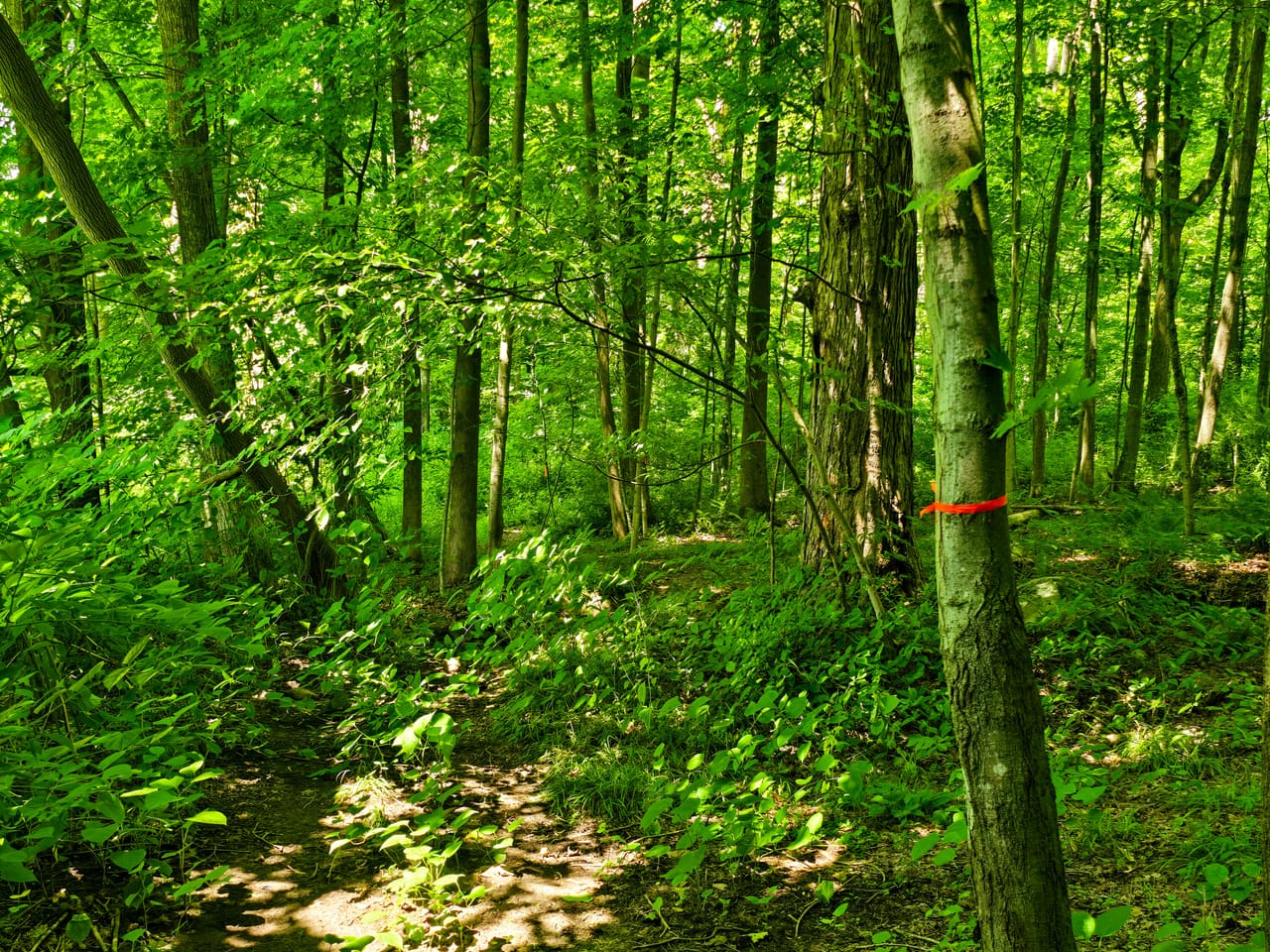 170 Gore Rd - Bennington