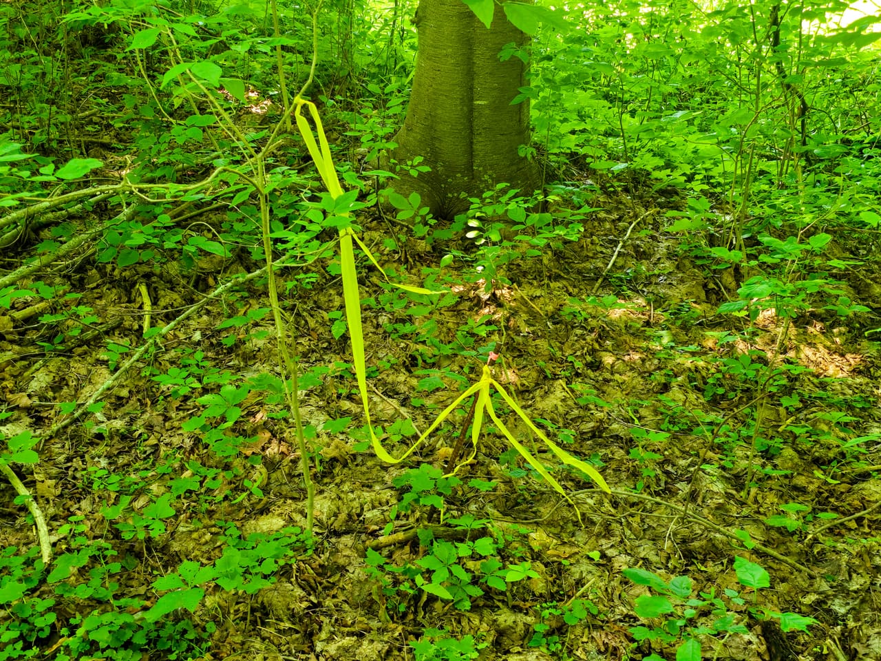 170 Gore Rd - Bennington