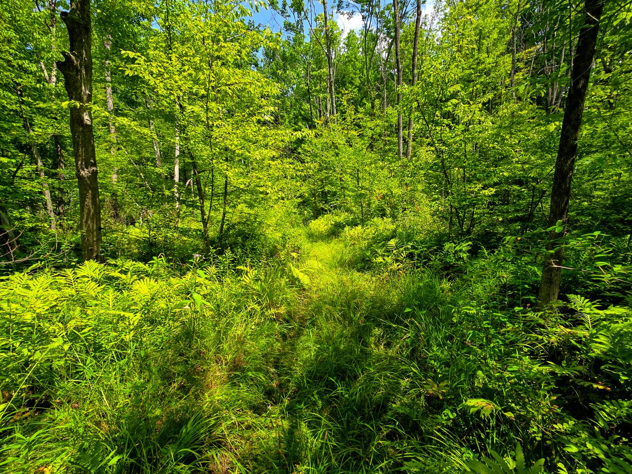170 Gore Rd - Bennington