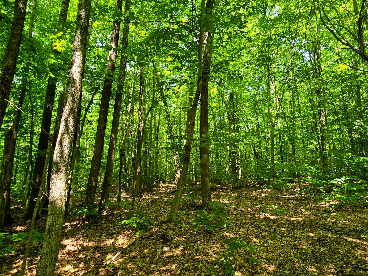 170 Gore Rd - Bennington