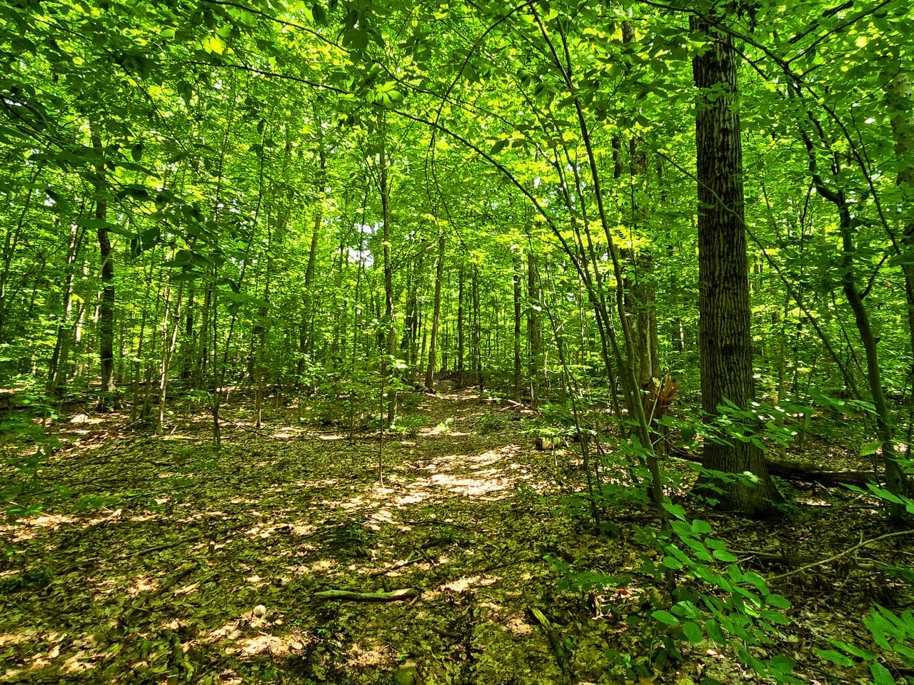 170 Gore Rd - Bennington