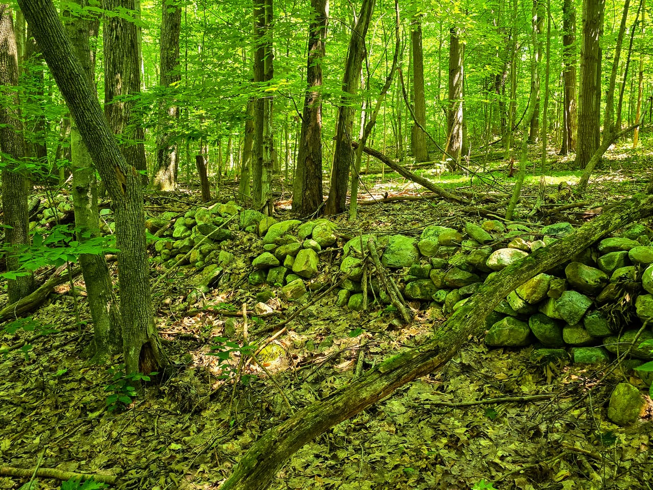 170 Gore Rd - Bennington