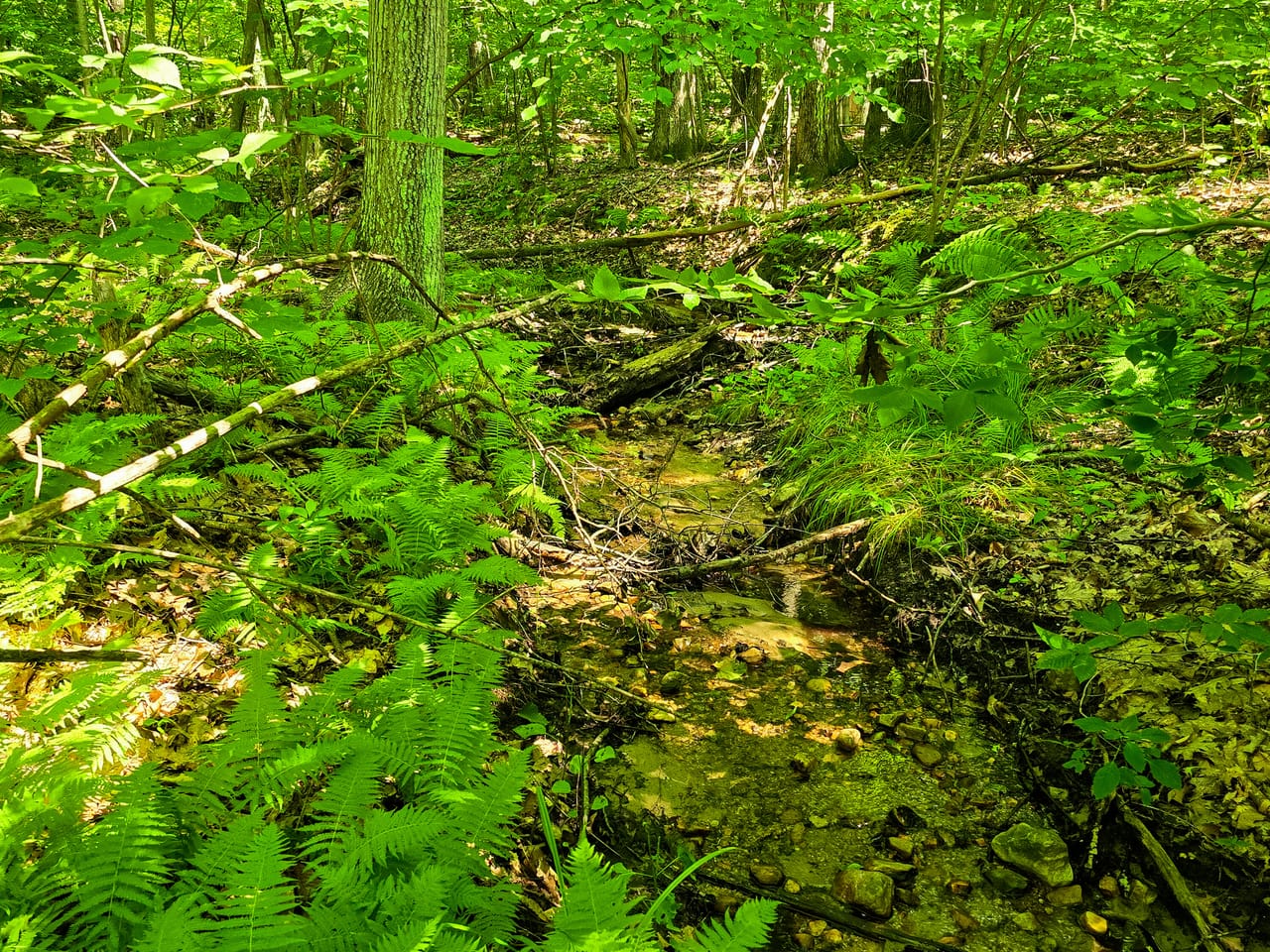 170 Gore Rd - Bennington