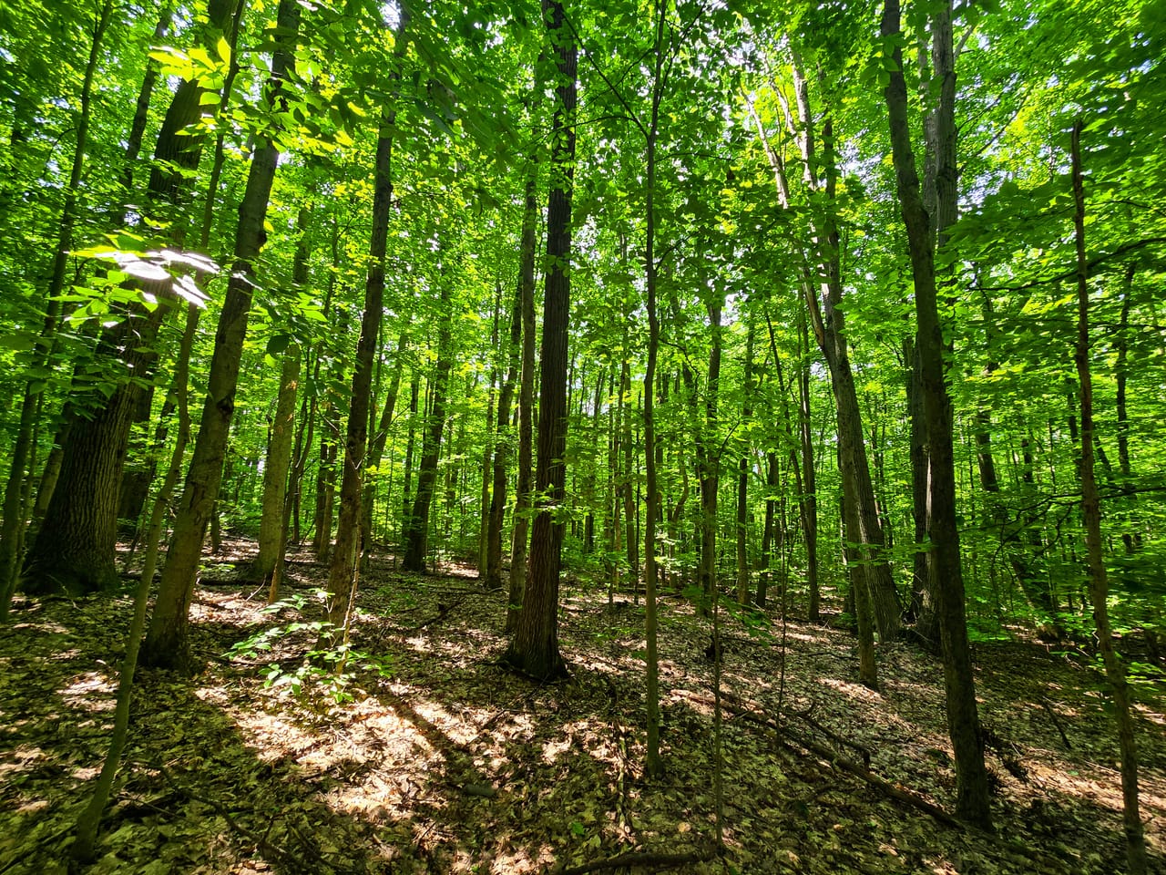 170 Gore Rd - Bennington