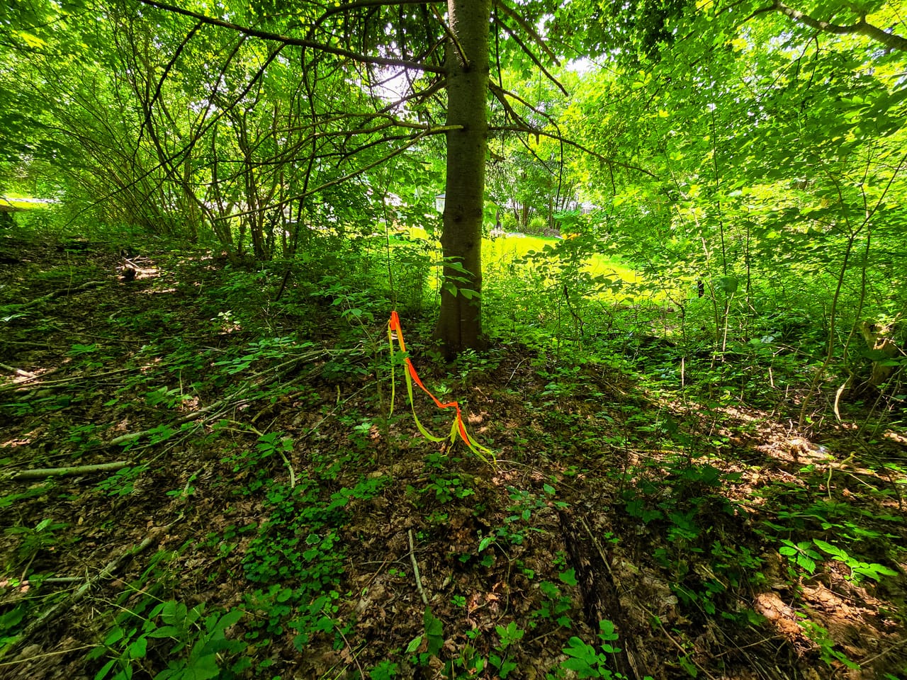 170 Gore Rd - Bennington