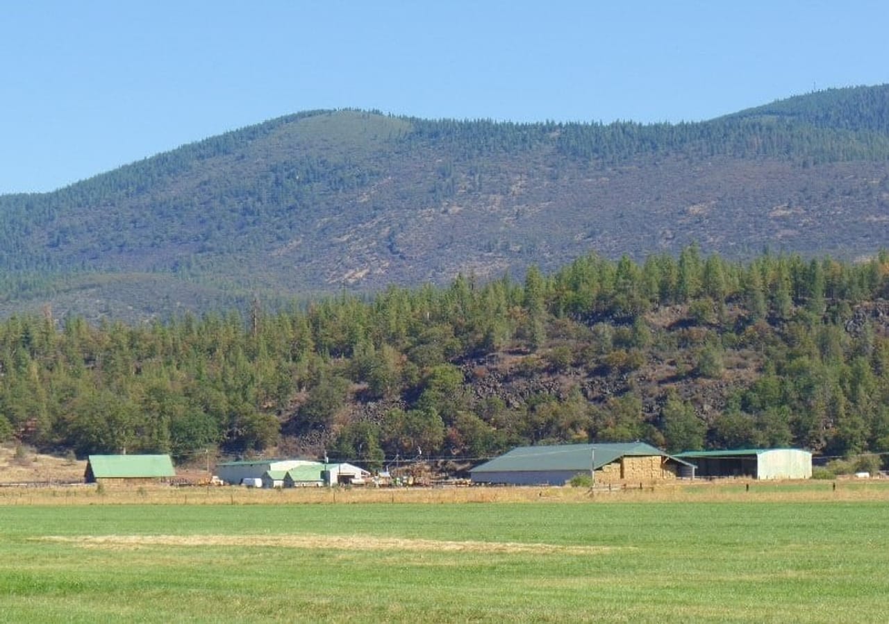 Listing Image 63