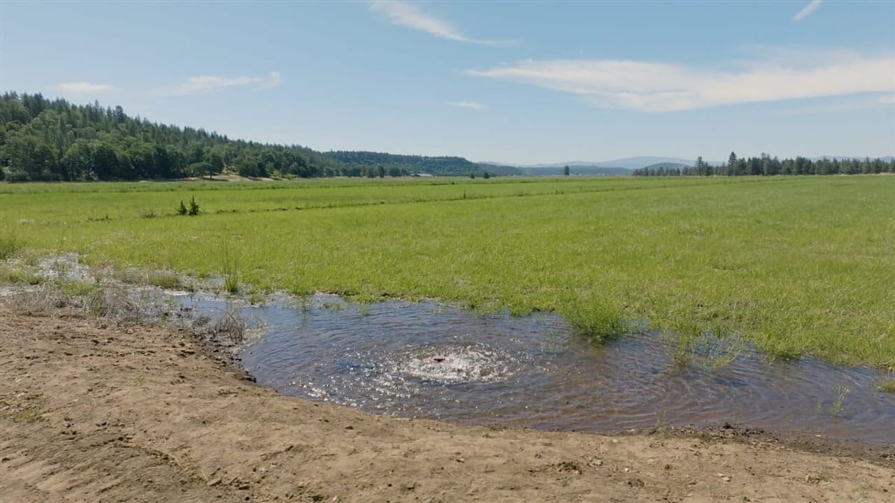 Listing Image 24