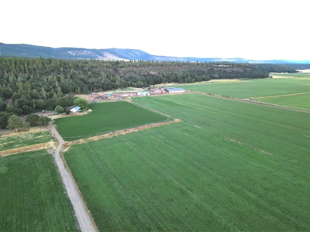 Listing Image 53