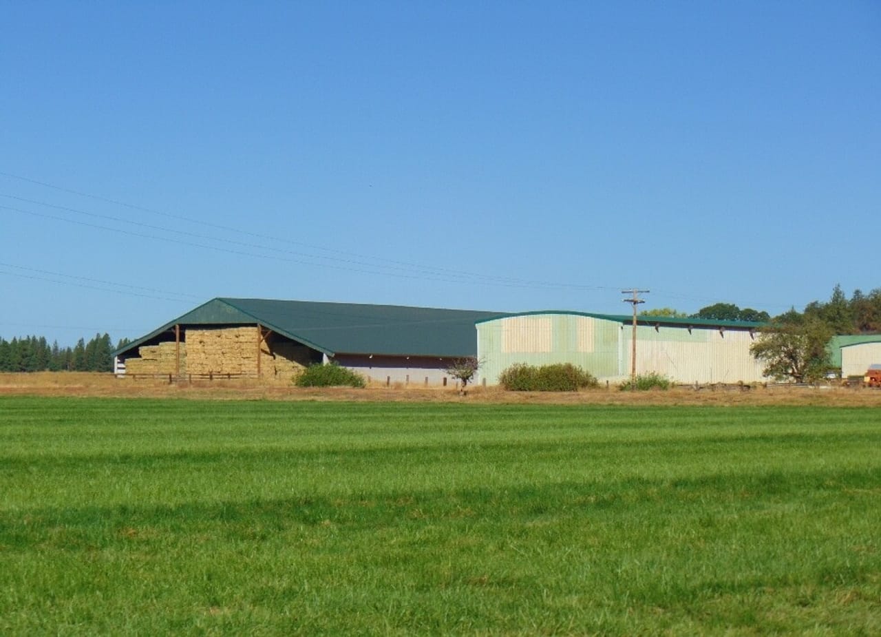 Listing Image 11