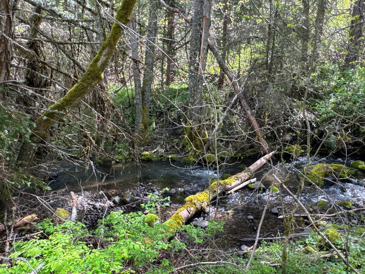 Listing Image 10