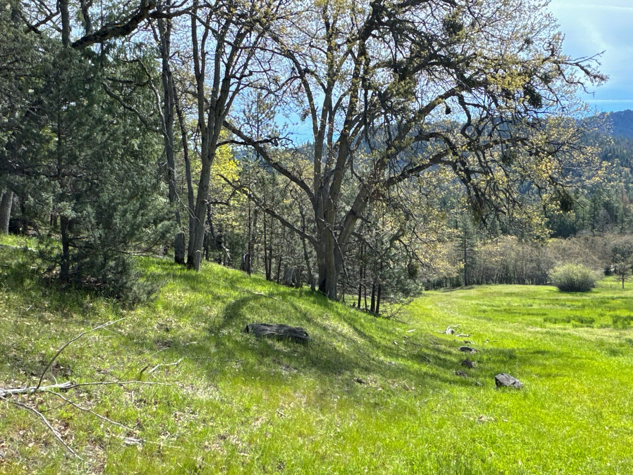 Listing Image 64